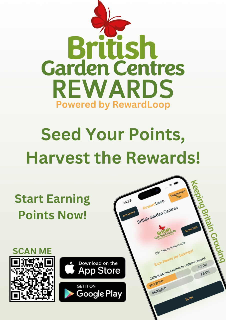 RewardLoop branded in-store poster variation for app download